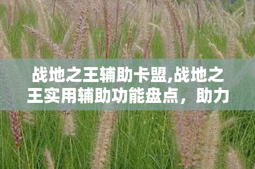 战地之王辅助卡盟,战地之王实用辅助功能盘点,助力玩家畅享公平竞技乐趣 战地之王辅助卡盟,战地之王实用辅助功能盘点,助力玩家畅享公平竞技乐趣