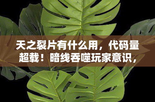 天之裂片有什么用,代码量超载!暗线吞噬玩家意识,头皮发麻的赛博裂隙战争 天之裂片有什么用,代码量超载!暗线吞噬玩家意识,头皮发麻的赛博裂隙战争