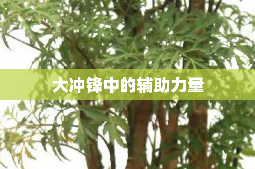 大冲锋中的辅助力量图片