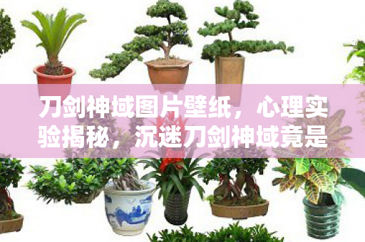 刀剑神域图片壁纸,心理实验揭秘,沉迷刀剑神域竟是多巴胺的细思极恐陷阱? 刀剑神域图片壁纸,心理实验揭秘,沉迷刀剑神域竟是多巴胺的细思极恐陷阱?