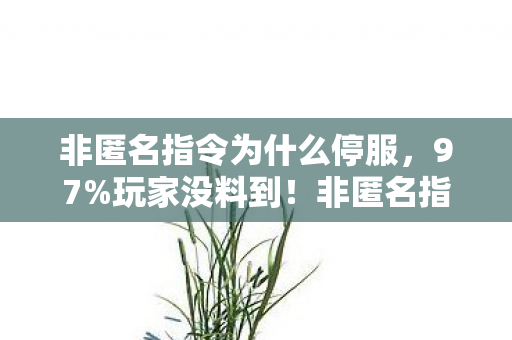 非匿名指令为什么停服,97%玩家没料到!非匿名指令三端实测,手机搓屏竟比主机爽? 非匿名指令为什么停服,97%玩家没料到!非匿名指令三端实测,手机搓屏竟比主机爽?
