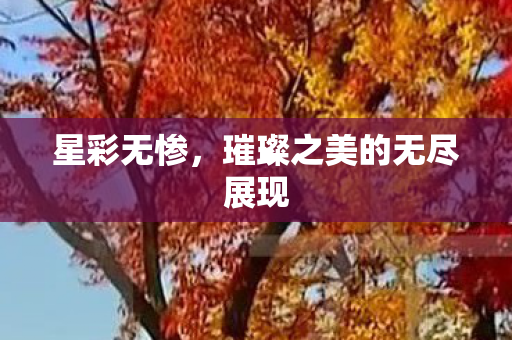 璀璨之美的无尽展现图片