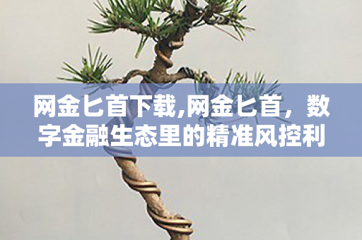 网金匕首下载,网金匕首,数字金融生态里的精准风控利器 网金匕首下载,网金匕首,数字金融生态里的精准风控利器