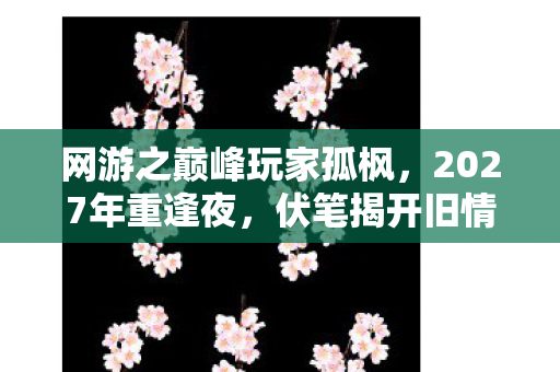 网游之巅峰玩家孤枫,2027年重逢夜,伏笔揭开旧情殇,鼻子一酸忆往昔 网游之巅峰玩家孤枫,2027年重逢夜,伏笔揭开旧情殇,鼻子一酸忆往昔