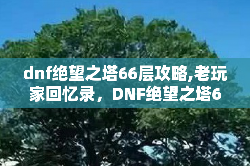 dnf绝望之塔66层攻略,老玩家回忆录，DNF绝望之塔6层藏着多少当年的开荒阴影