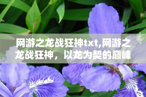 网游之龙战狂神txt,网游之龙战狂神,以龙为契的巅峰征程 网游之龙战狂神txt,网游之龙战狂神,以龙为契的巅峰征程