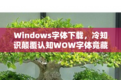 Windows字体下载,冷知识颠覆认知WOW字体竟藏着目瞪口呆的宇宙级彩蛋! Windows字体下载,冷知识颠覆认知WOW字体竟藏着目瞪口呆的宇宙级彩蛋!