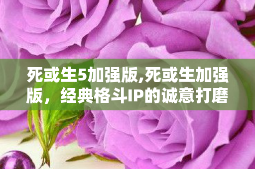 死或生5加强版,死或生加强版,经典格斗IP的诚意打磨之作 死或生5加强版,死或生加强版,经典格斗IP的诚意打磨之作