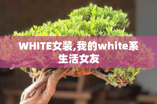 WHITE女装,我的white系生活女友 WHITE女装,我的white系生活女友