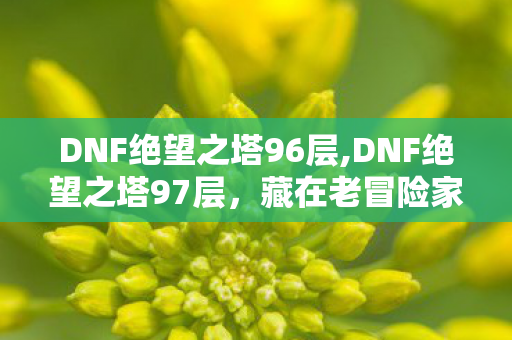 DNF绝望之塔96层,DNF绝望之塔97层,藏在老冒险家背包里的旧时光刻度 DNF绝望之塔96层,DNF绝望之塔97层,藏在老冒险家背包里的旧时光刻度