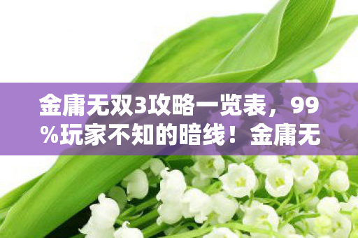金庸无双3攻略一览表,99%玩家不知的暗线!金庸无双3里藏着让996社畜破防的江湖真相 金庸无双3攻略一览表,99%玩家不知的暗线!金庸无双3里藏着让996社畜破防的江湖真相