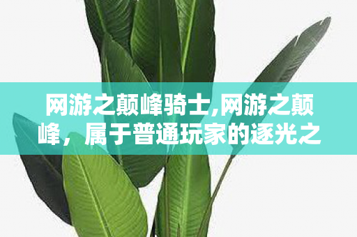 网游之颠峰骑士,网游之颠峰,属于普通玩家的逐光之路 网游之颠峰骑士,网游之颠峰,属于普通玩家的逐光之路