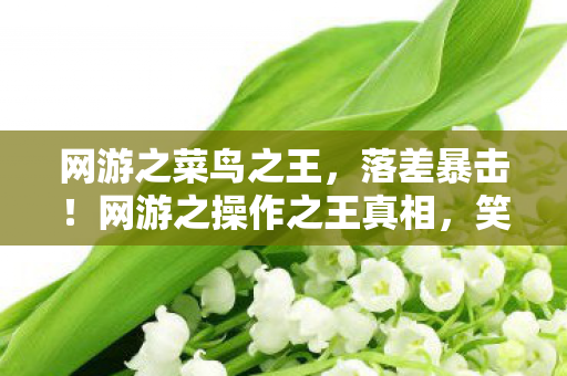 网游之菜鸟之王,落差暴击!网游之操作之王真相,笑着骂它菜,哭着喊真香 网游之菜鸟之王,落差暴击!网游之操作之王真相,笑着骂它菜,哭着喊真香