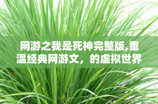 网游之我是死神完整版,重温经典网游文,的虚拟世界魅力 网游之我是死神完整版,重温经典网游文,的虚拟世界魅力