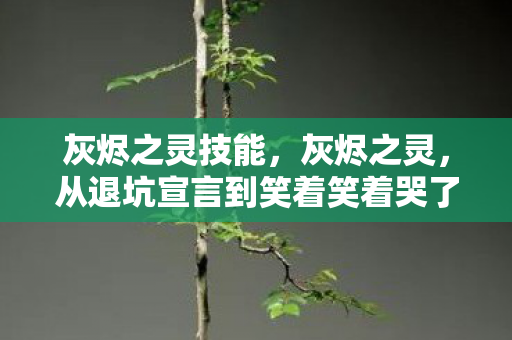 灰烬之灵技能,灰烬之灵,从退坑宣言到笑着笑着哭了的落差真相 灰烬之灵技能,灰烬之灵,从退坑宣言到笑着笑着哭了的落差真相
