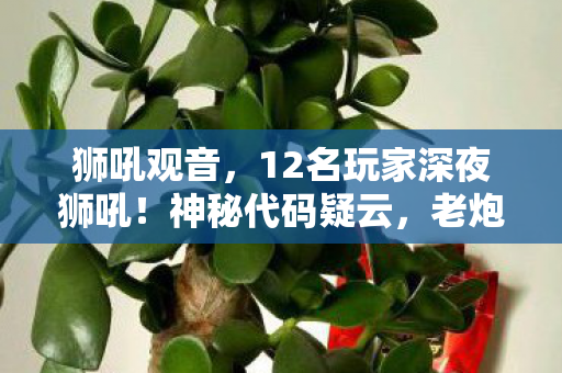 狮吼观音,12名玩家深夜狮吼!神秘代码疑云,老炮,这波我直接绷不住! 狮吼观音,12名玩家深夜狮吼!神秘代码疑云,老炮,这波我直接绷不住!