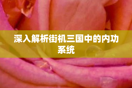 深入解析街机三国中的内功系统图片
