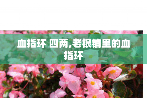 血指环 四两,老银铺里的血指环 血指环 四两,老银铺里的血指环