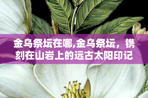 金乌祭坛在哪,金乌祭坛,镌刻在山岩上的远古太阳印记 金乌祭坛在哪,金乌祭坛,镌刻在山岩上的远古太阳印记