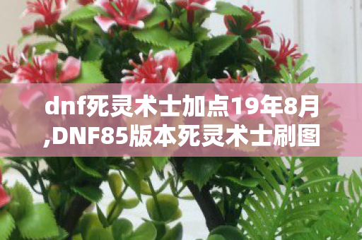 dnf死灵术士加点19年8月,DNF85版本死灵术士刷图加点全攻略 适配不同装备流派输出需求 dnf死灵术士加点19年8月,DNF85版本死灵术士刷图加点全攻略 适配不同装备流派输出需求
