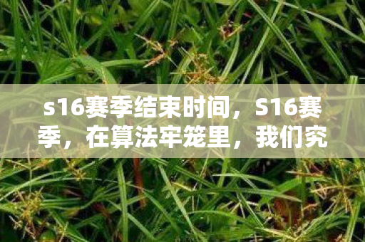s16赛季结束时间,S16赛季,在算法牢笼里,我们究竟是玩家还是被玩的灵魂? s16赛季结束时间,S16赛季,在算法牢笼里,我们究竟是玩家还是被玩的灵魂?