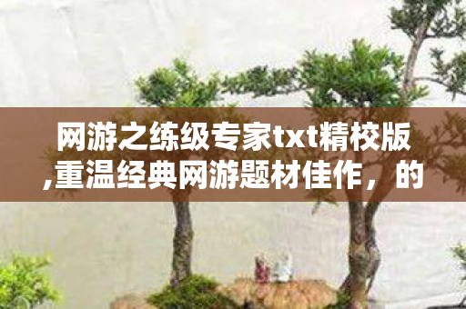 网游之练级专家txt精校版,重温经典网游题材佳作,的趣味阅读体验 网游之练级专家txt精校版,重温经典网游题材佳作,的趣味阅读体验