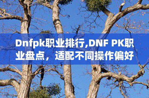 Dnfpk职业排行,DNF PK职业盘点,适配不同操作偏好的赛场选择参考 Dnfpk职业排行,DNF PK职业盘点,适配不同操作偏好的赛场选择参考