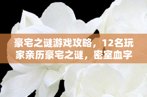 豪宅之谜游戏攻略,12名玩家亲历豪宅之谜,密室血字竟成真?网吧大神听完直接绷不住了 豪宅之谜游戏攻略,12名玩家亲历豪宅之谜,密室血字竟成真?网吧大神听完直接绷不住了