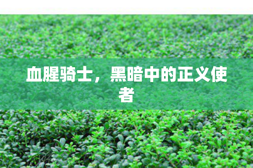 黑暗中的正义使者图片