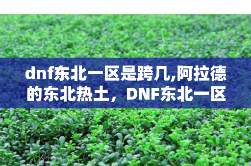 dnf东北一区是跨几,阿拉德的东北热土,DNF东北一区十余载的烟火旧事 dnf东北一区是跨几,阿拉德的东北热土,DNF东北一区十余载的烟火旧事