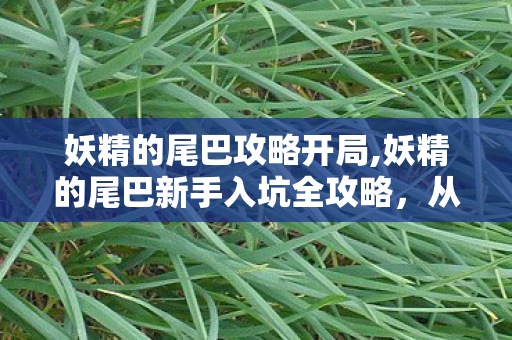 妖精的尾巴攻略开局,妖精的尾巴新手入坑全攻略,从零打造属于你的最强魔导士小队 妖精的尾巴攻略开局,妖精的尾巴新手入坑全攻略,从零打造属于你的最强魔导士小队