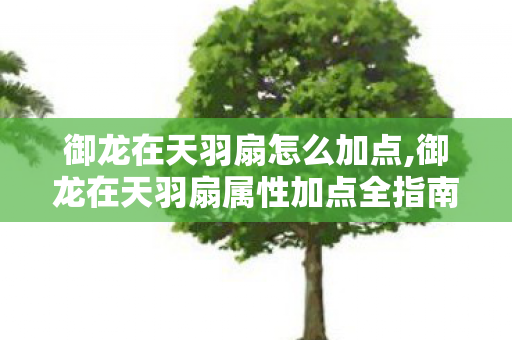 御龙在天羽扇怎么加点,御龙在天羽扇属性加点全指南 适配不同玩法打造专属强力法系角色 御龙在天羽扇怎么加点,御龙在天羽扇属性加点全指南 适配不同玩法打造专属强力法系角色