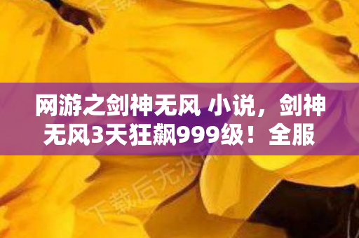 网游之剑神无风 小说,剑神无风3天狂飙999级!全服追杀令背后竟藏着惊天阴谋? 网游之剑神无风 小说,剑神无风3天狂飙999级!全服追杀令背后竟藏着惊天阴谋?