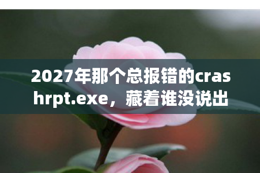 2027年那个总报错的crashrpt.exe,藏着谁没说出口的告别,鼻子一酸 2027年那个总报错的crashrpt.exe,藏着谁没说出口的告别,鼻子一酸