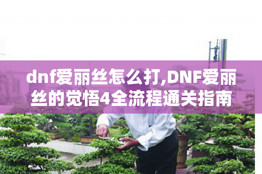 dnf爱丽丝怎么打,DNF爱丽丝的觉悟4全流程通关指南 轻松解锁主线剧情 dnf爱丽丝怎么打,DNF爱丽丝的觉悟4全流程通关指南 轻松解锁主线剧情
