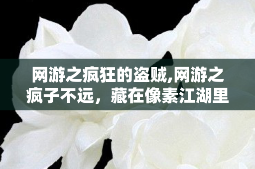网游之疯狂的盗贼,网游之疯子不远,藏在像素江湖里的滚烫青春 网游之疯狂的盗贼,网游之疯子不远,藏在像素江湖里的滚烫青春
