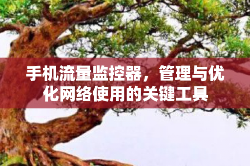 管理与优化网络使用的关键工具图片