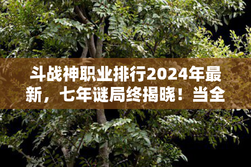 斗战神职业排行2024年最新，七年谜局终揭晓！当全服第一罗刹按下删除键时，我泪目了