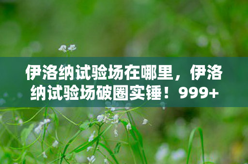 伊洛纳试验场在哪里，伊洛纳试验场破圈实锤！999+衍生周边让我家变次元黑洞