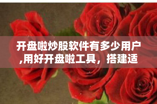 开盘啦炒股软件有多少用户,用好开盘啦工具，搭建适合自己的理性炒股体系