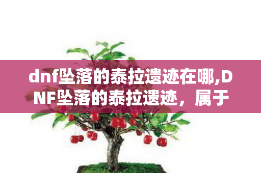 dnf坠落的泰拉遗迹在哪,DNF坠落的泰拉遗迹，属于老勇士的专属闪光旧梦