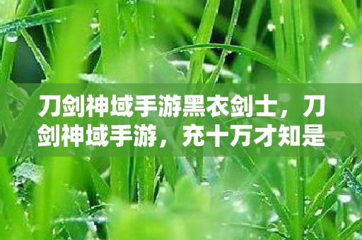 刀剑神域手游黑衣剑士,刀剑神域手游,充十万才知是韭菜,策划暗改数据吓掉下巴! 刀剑神域手游黑衣剑士,刀剑神域手游,充十万才知是韭菜,策划暗改数据吓掉下巴!