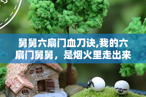 舅舅六扇门血刀诀,我的六扇门舅舅，是烟火里走出来的江湖客
