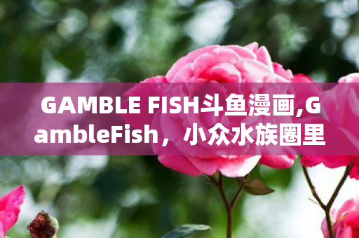 GAMBLE FISH斗鱼漫画,GambleFish，小众水族圈里的开盲盒式养鱼乐趣