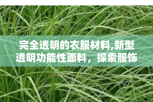 完全透明的衣服材料,新型透明功能性面料,探索服饰创新的绿色新赛道 完全透明的衣服材料,新型透明功能性面料,探索服饰创新的绿色新赛道