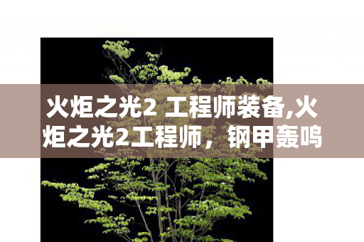 火炬之光2 工程师装备,火炬之光2工程师，钢甲轰鸣下的地下城多面行者