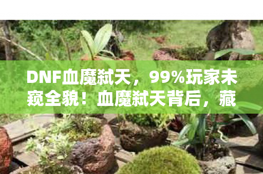 DNF血魔弑天,99%玩家未窥全貌!血魔弑天背后,藏着多少人的青春隐痛? DNF血魔弑天,99%玩家未窥全貌!血魔弑天背后,藏着多少人的青春隐痛?