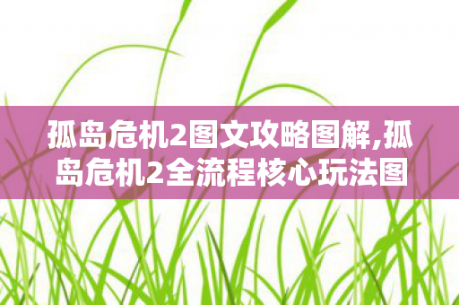 孤岛危机2图文攻略图解,孤岛危机2全流程核心玩法图文指南 轻松通关无压力 孤岛危机2图文攻略图解,孤岛危机2全流程核心玩法图文指南 轻松通关无压力