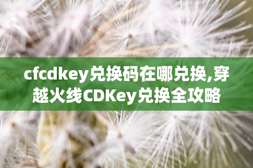cfcdkey兑换码在哪兑换,穿越火线CDKey兑换全攻略，安全领取心仪游戏道具