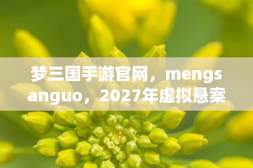 梦三国手游官网,mengsanguo,2027年虚拟悬案!线索碎片拼出毛骨悚然真相 梦三国手游官网,mengsanguo,2027年虚拟悬案!线索碎片拼出毛骨悚然真相